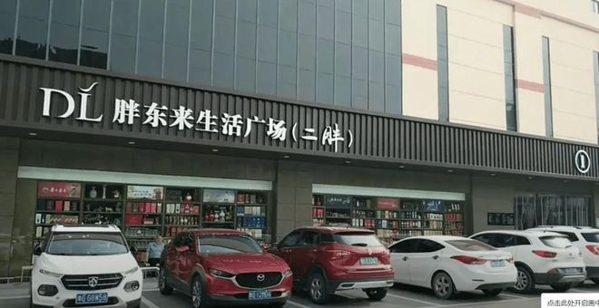 外地游客爆满终于知道为啥走不出河南了EVO真人平台越黑越红！端午节胖东来(图9)